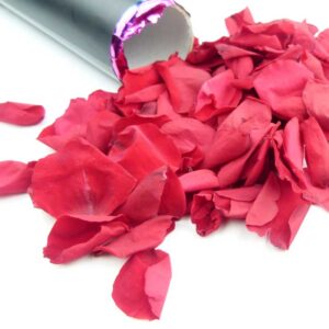 Konfettikanone echte rote Rosenblätter